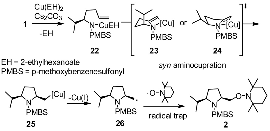 Scheme 2