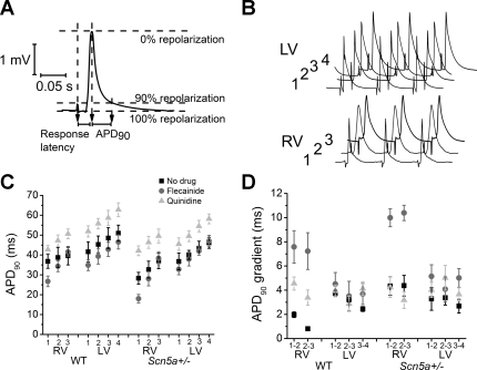 Fig. 4.