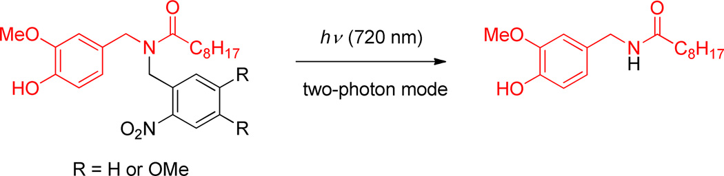 Scheme 41