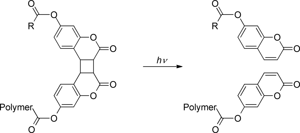 Scheme 108