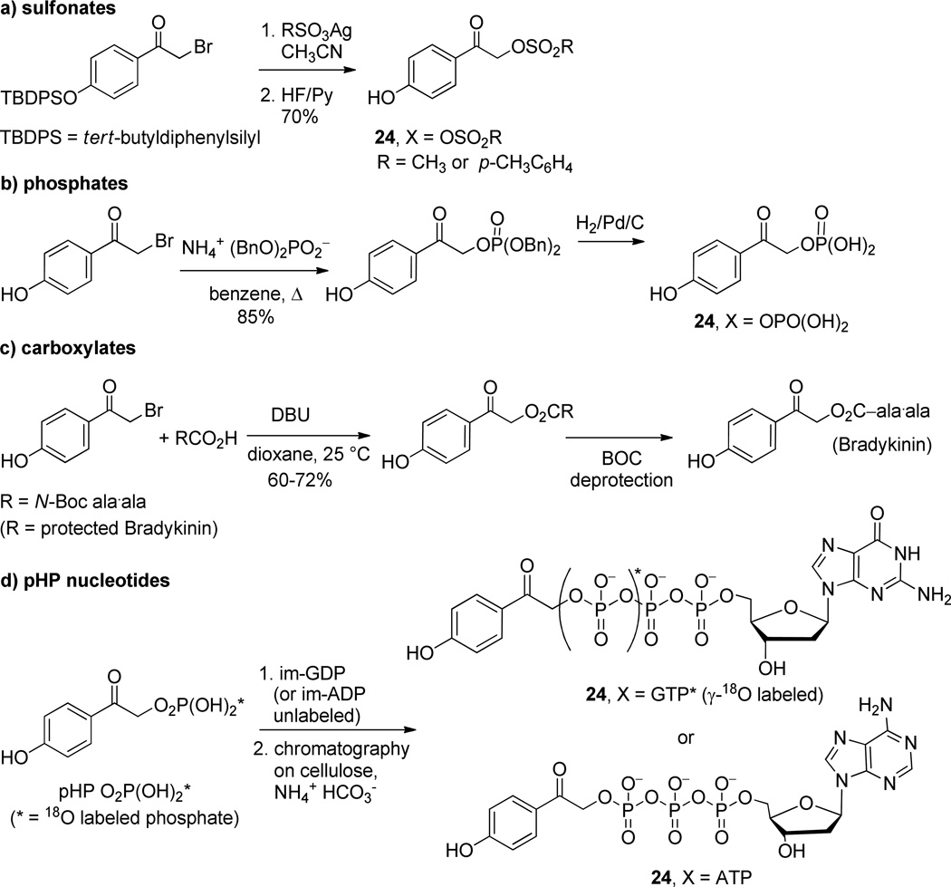 Scheme 16