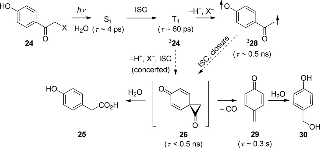 Scheme 19