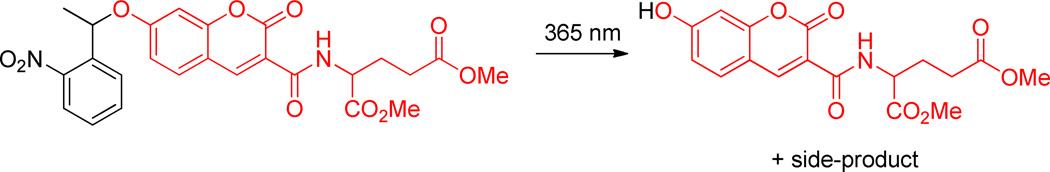 Scheme 131