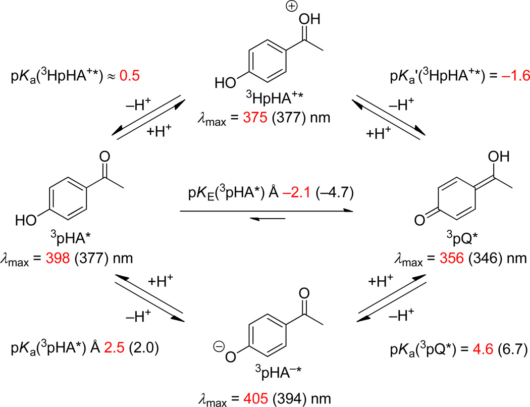 Scheme 18