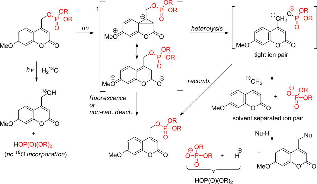 Scheme 51