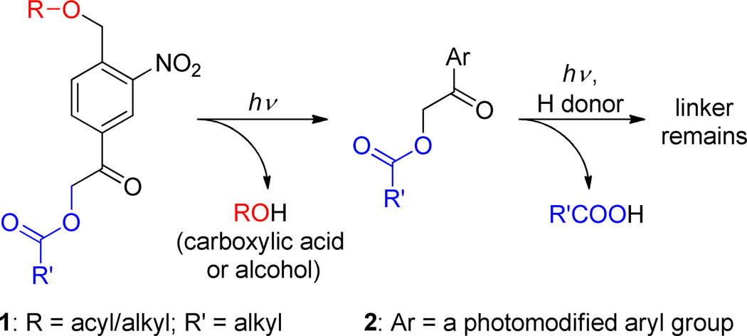 Scheme 3