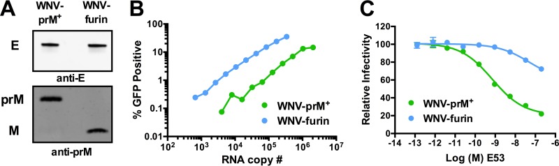 FIG 1