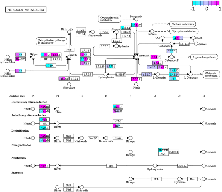 Figure 6.