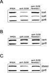 FIG. 8.