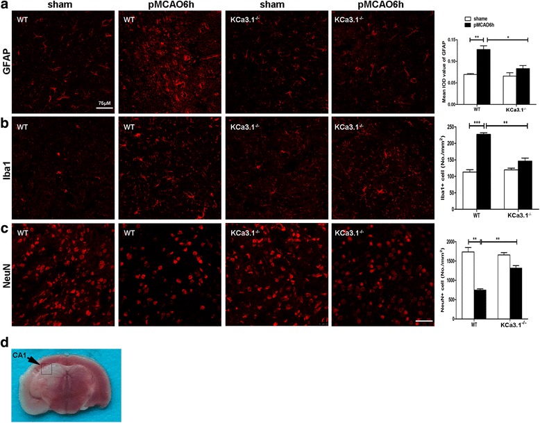 Fig. 3