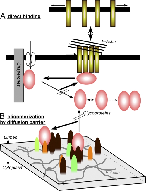 Figure 10.