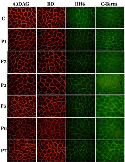 Fig. (2)