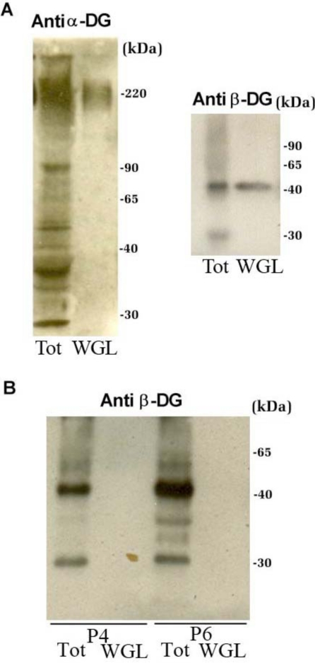 Fig. (4)