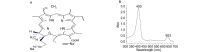 A: structure diagram; B: absorbance spectra.