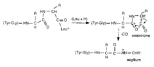 Scheme II