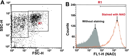 Fig. 1