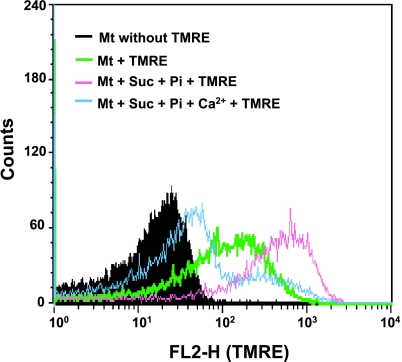 Fig. 2