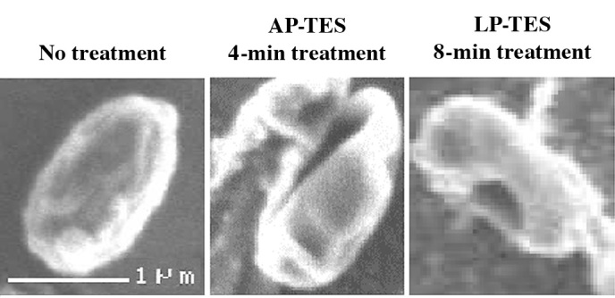 Figure 7.