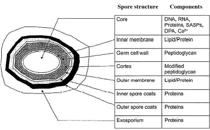 Figure 12.