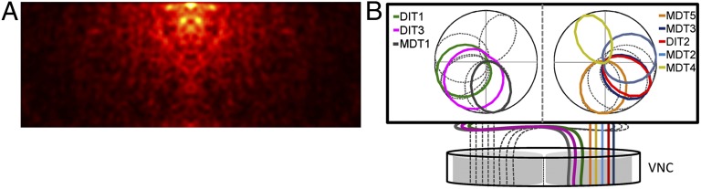 Fig. 3.