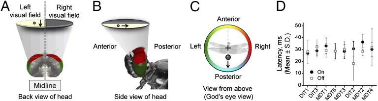 Fig. 1.