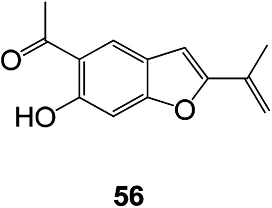 Fig. 20