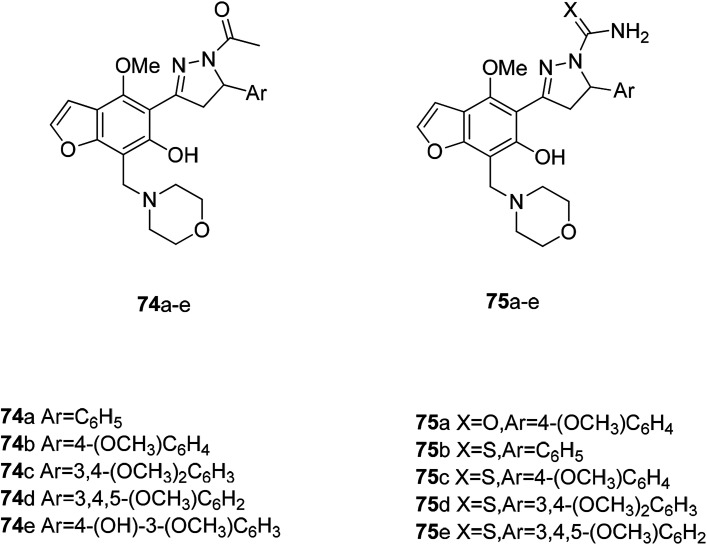 Fig. 26