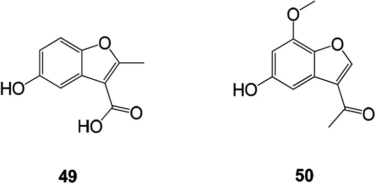 Fig. 16