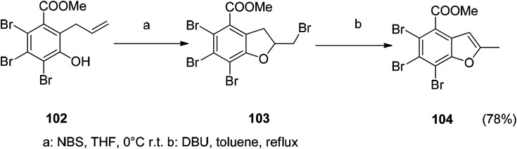 Scheme 11