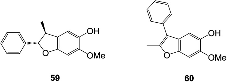 Fig. 22