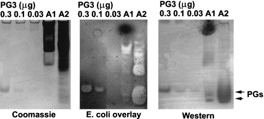 FIG. 9