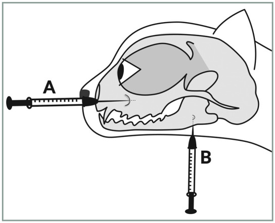 Figure 19