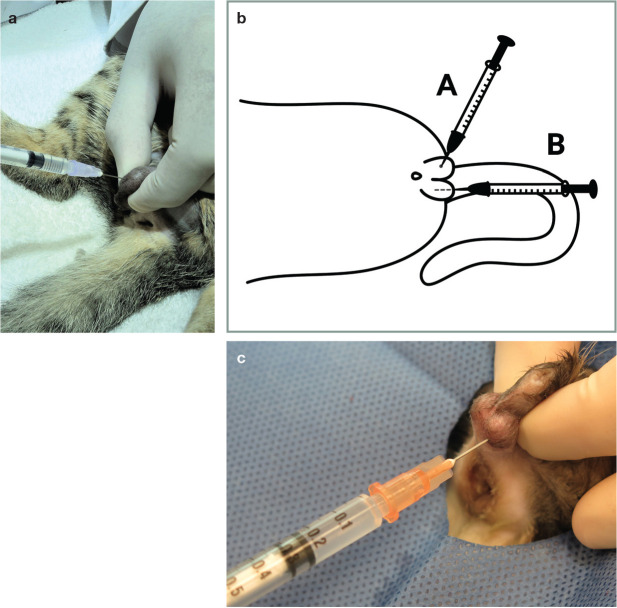 Figure 18