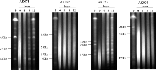 FIG. 5.