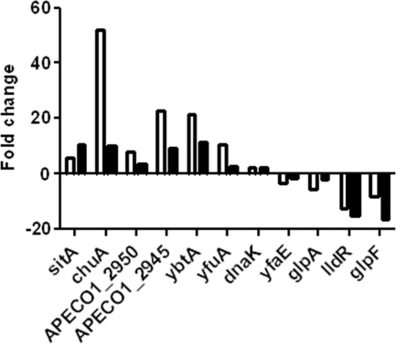 Fig. 3.