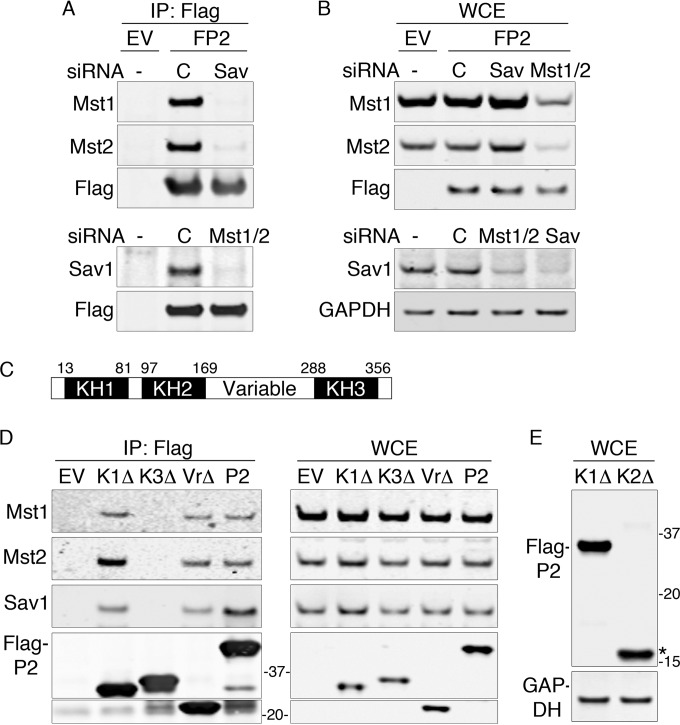 FIG 2