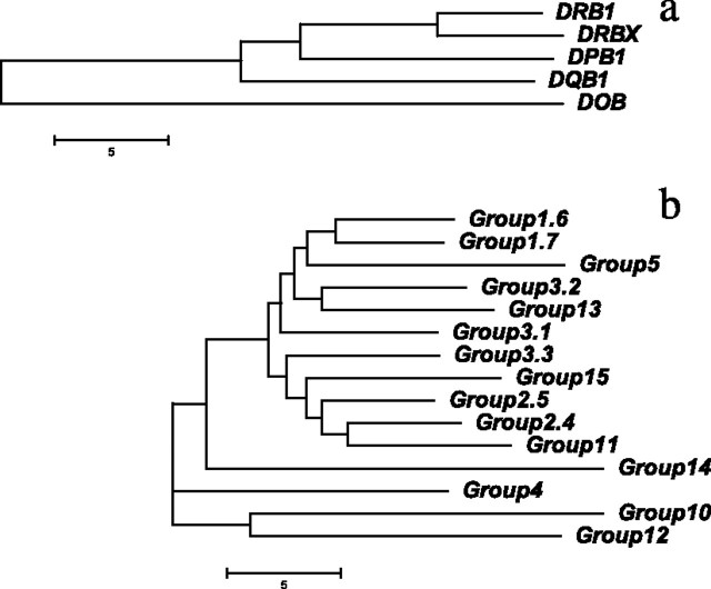 FIG. 5.