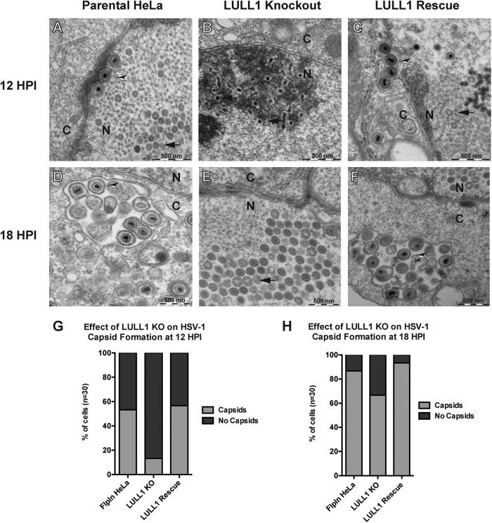 FIG 4