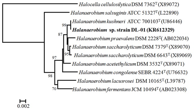 FIGURE 3