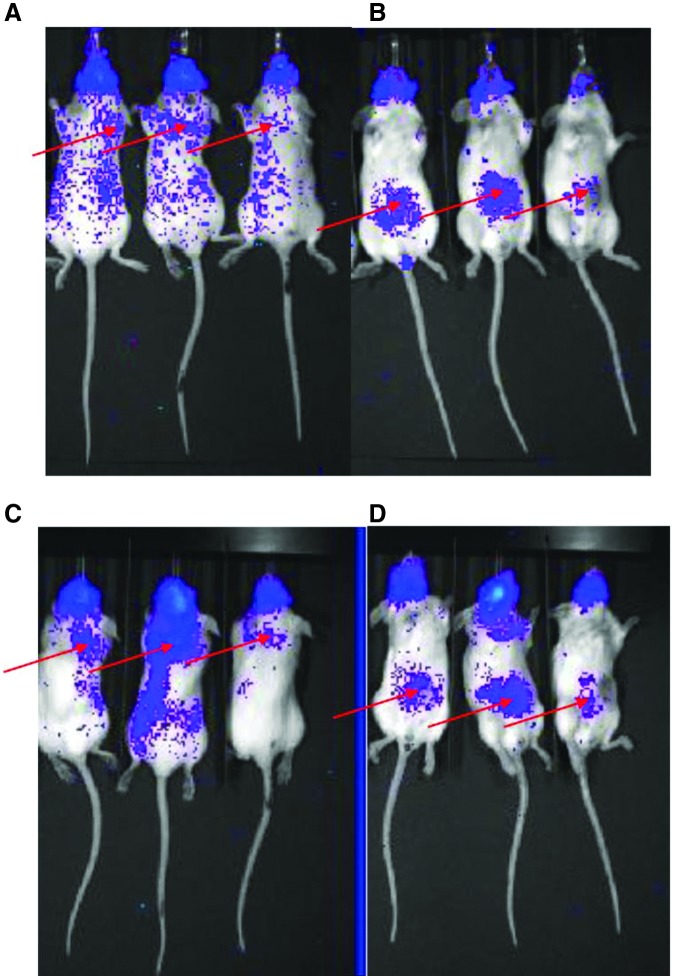 FIG. 6.