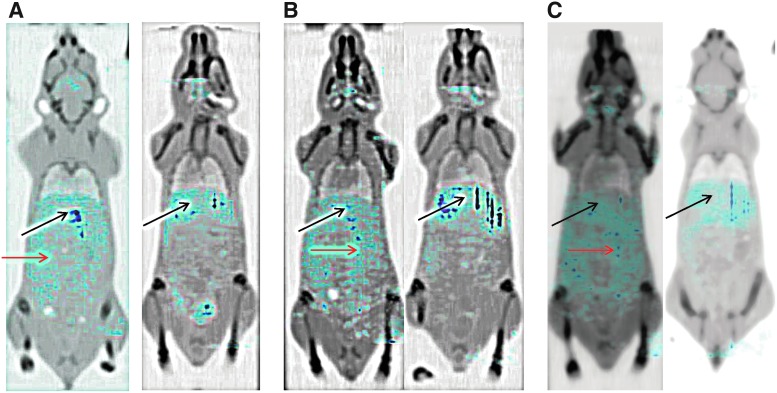 FIG. 7.