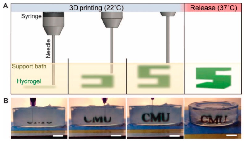 Figure 14