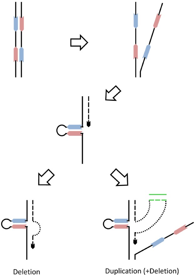 Fig. 2