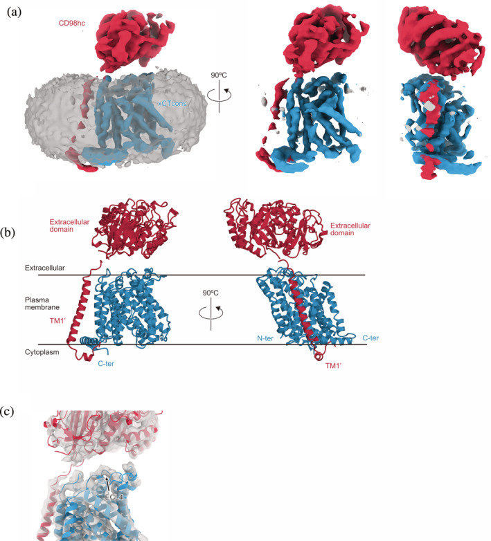 FIGURE 3