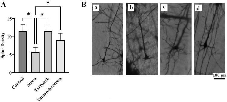 Fig. 6