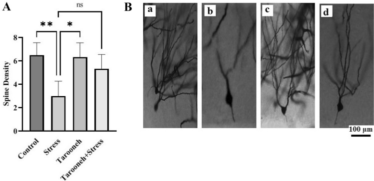 Fig. 5