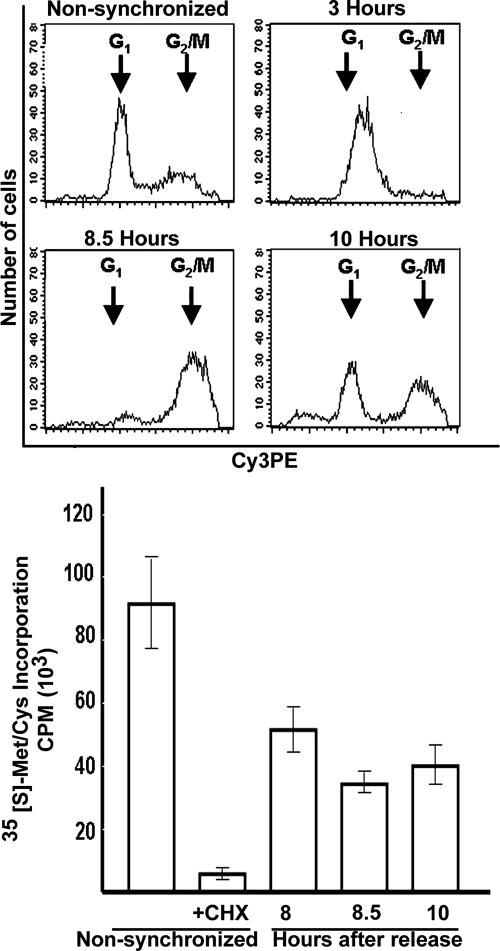 FIG. 2.