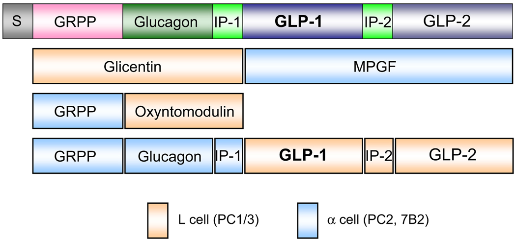 FIG. 3