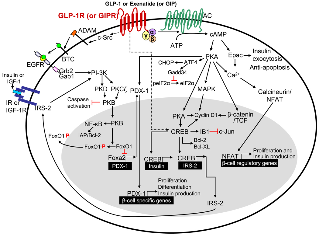 FIG. 6