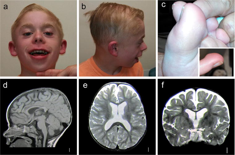 FIGURE 1